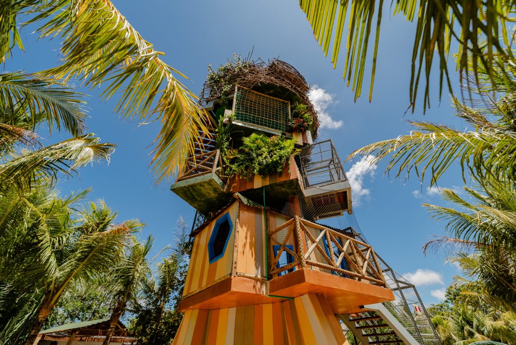Parque Arvorar transforma maio em um mês de descobertas, diversão e conexão com a natureza