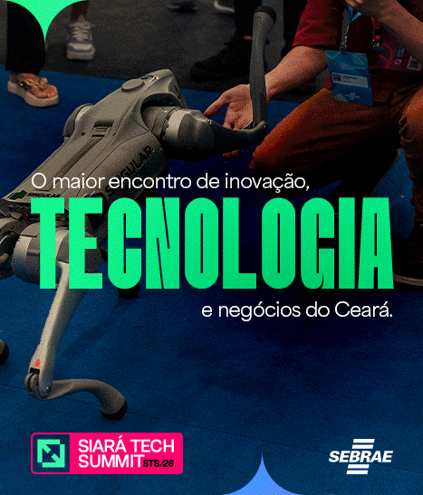 SEBRAE – LATERAL