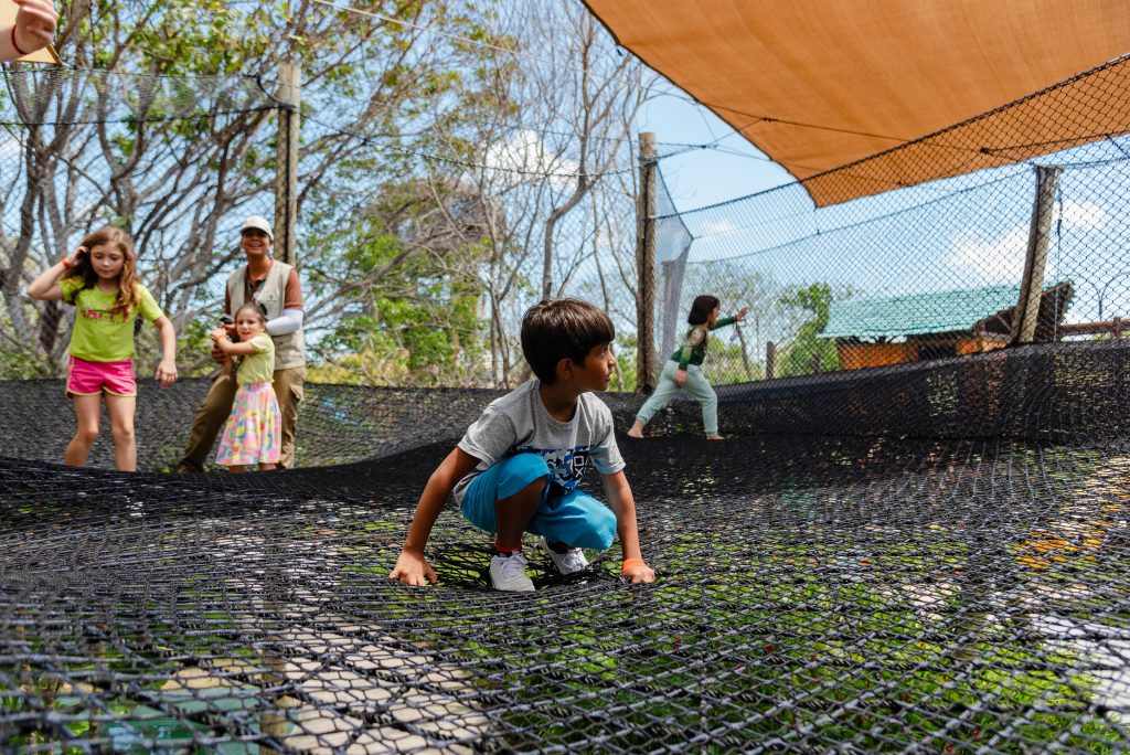 São João, natureza e diversão: Parque Arvorar, do Beach Park, abre programação especial de junho