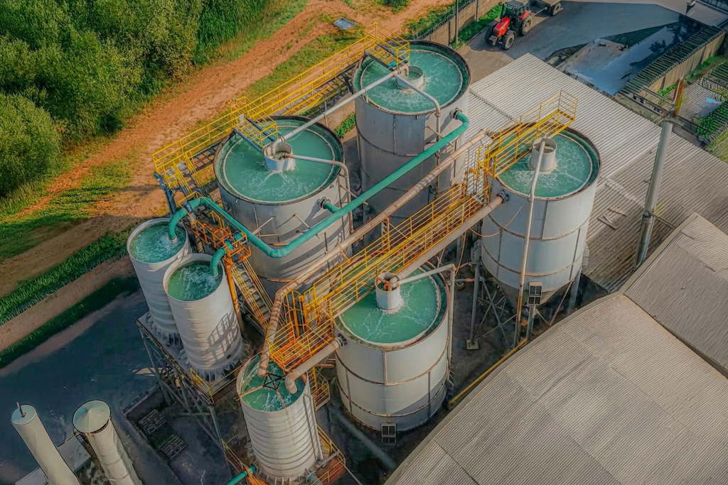 No Dia Mundial do Meio Ambiente, Cerbras destaca avanços em sustentabilidade industrial