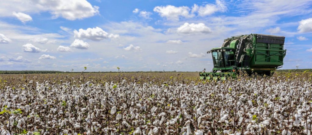 PIB do Ceará cresce 1,93% no primeiro trimestre de 2026 e supera média nacional