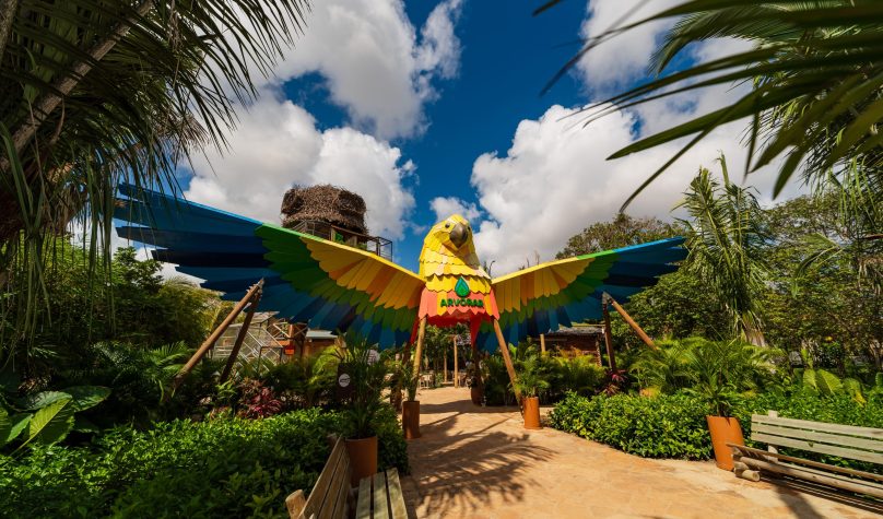 Foto: Arnaldo Dantas