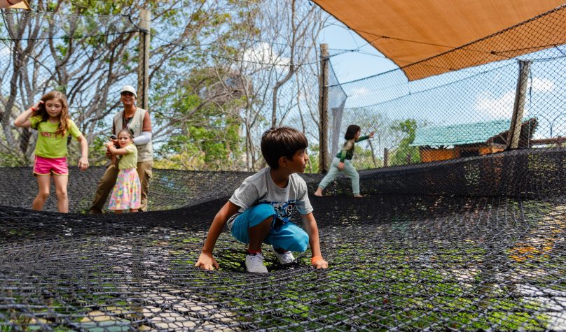 São João, natureza e diversão: Parque Arvorar, do Beach Park, abre programação especial de junho