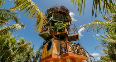 Parque Arvorar transforma maio em um mês de descobertas, diversão e conexão com a natureza