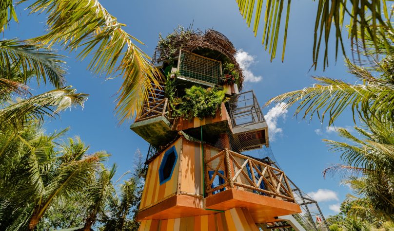 Parque Arvorar transforma maio em um mês de descobertas, diversão e conexão com a natureza