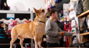 Foto: Adobe Stock