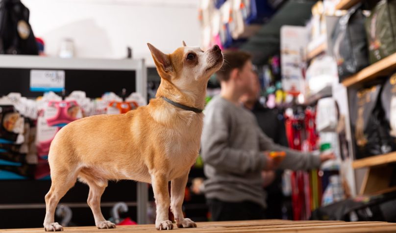 Foto: Adobe Stock