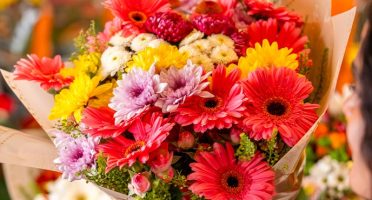 São Luiz reúne variedade de flores e itens presenteáveis para o Dia das Mães