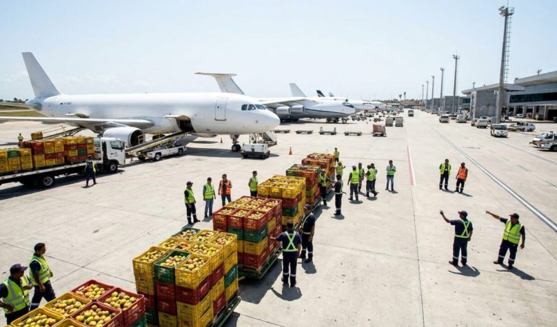 Do navio ao avião: como o Ceará quer ampliar as exportações do agro com novas rotas logísticas