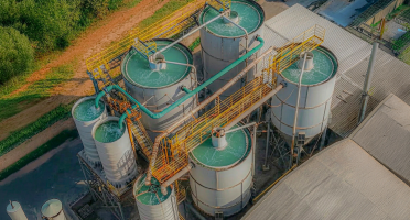 No Dia Mundial do Meio Ambiente, Cerbras destaca avanços em sustentabilidade industrial