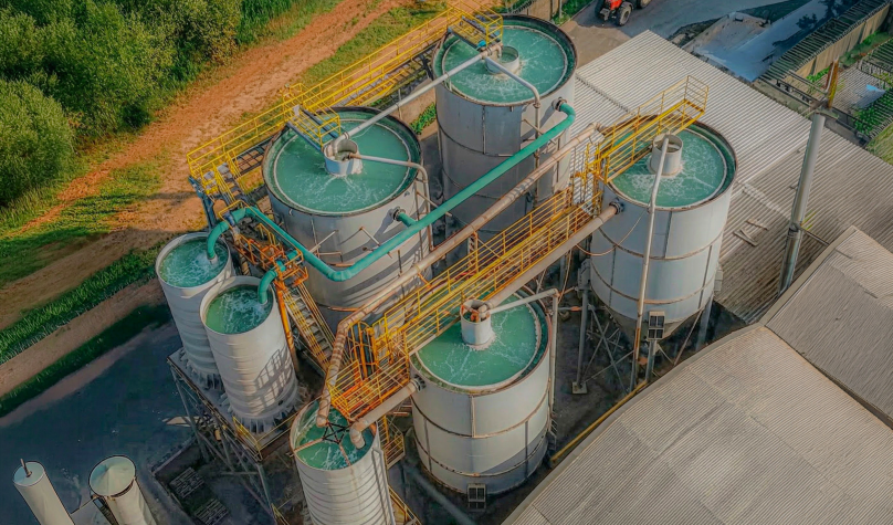 No Dia Mundial do Meio Ambiente, Cerbras destaca avanços em sustentabilidade industrial