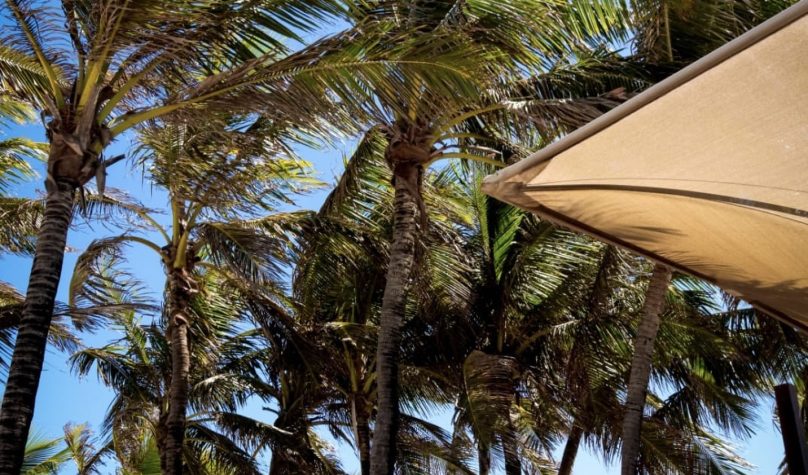Foto: Reprodução/Instagram