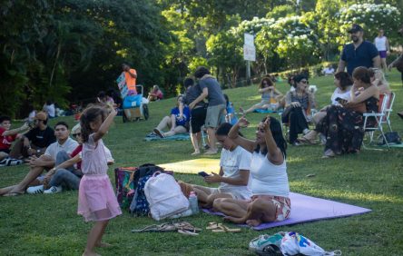 Foto: Reprodução/Site/SEMA