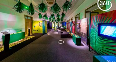 Foto: Reprodução/Site/Sistema FIEC