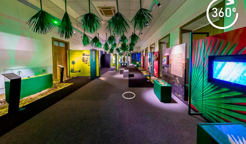 Foto: Reprodução/Site/Sistema FIEC