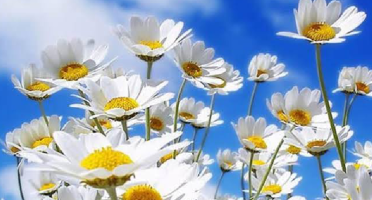 4338CFD9-A912-4762-89D6-A72F3791D3BA