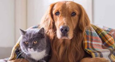 5ED16EAB-394D-4E36-8A7C-46D14F4B1EB5