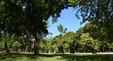 Foto: Reprodução/Site/SEMA