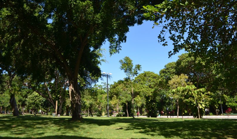 Foto: Reprodução/Site/SEMA