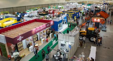 Foto: Reprodução/Sistema FAEC