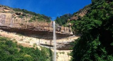 banner-1200x480px-bica-do-ipu