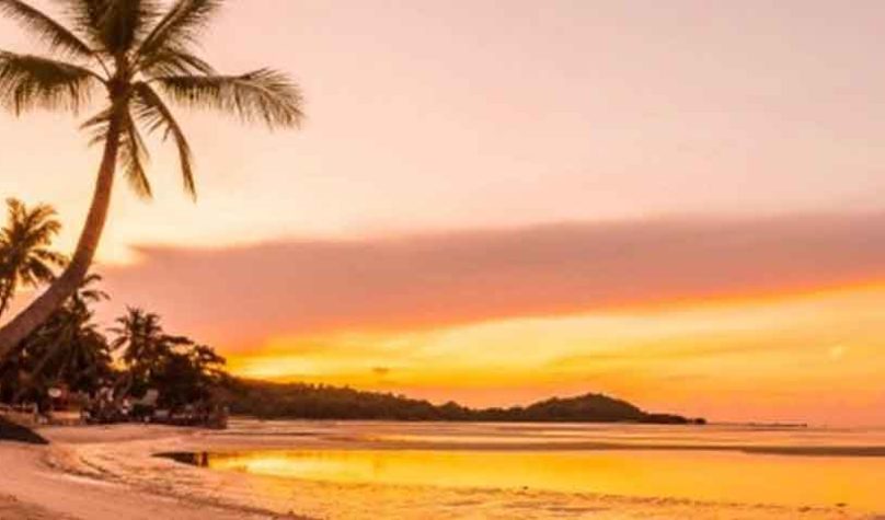 banner-1200x480px-malas-prontas