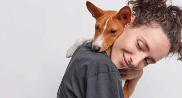 banner-1200x480px-pet