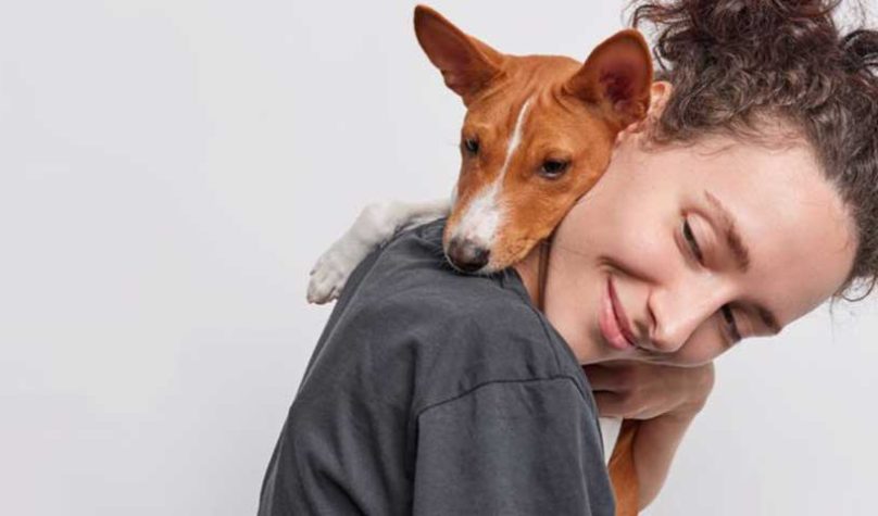 banner-1200x480px-pet