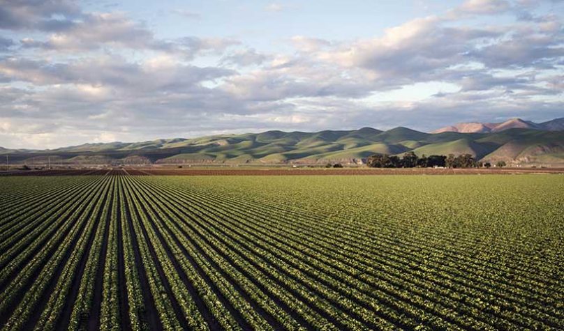 banner-800x533px-agricola