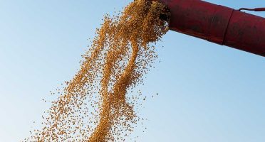 banner-800x533px-agropecuaria