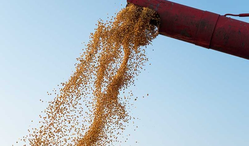 banner-800x533px-agropecuaria