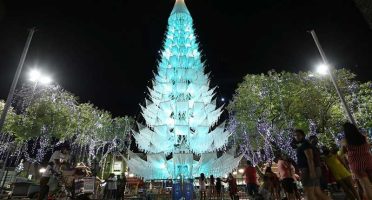 banner-800x533px-arvore-2