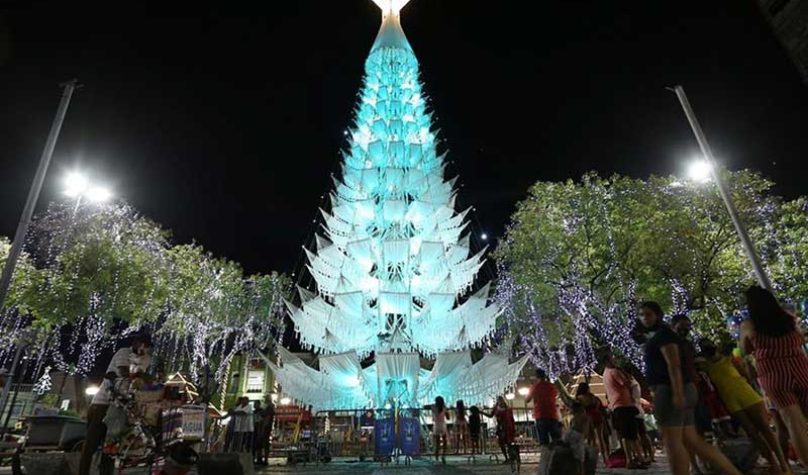 banner-800x533px-arvore-2