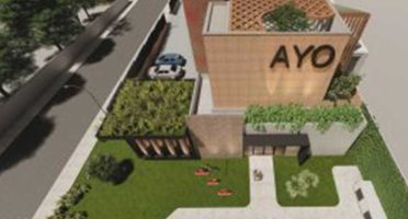 banner-800x533px-ayo