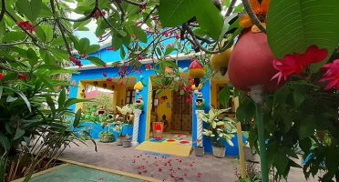 banner-800x533px-caju