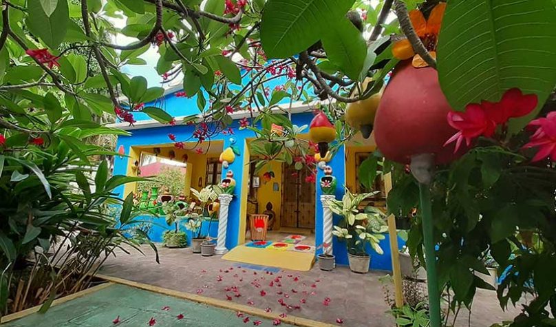 banner-800x533px-caju