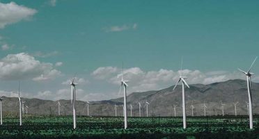 banner-800x533px-eólico