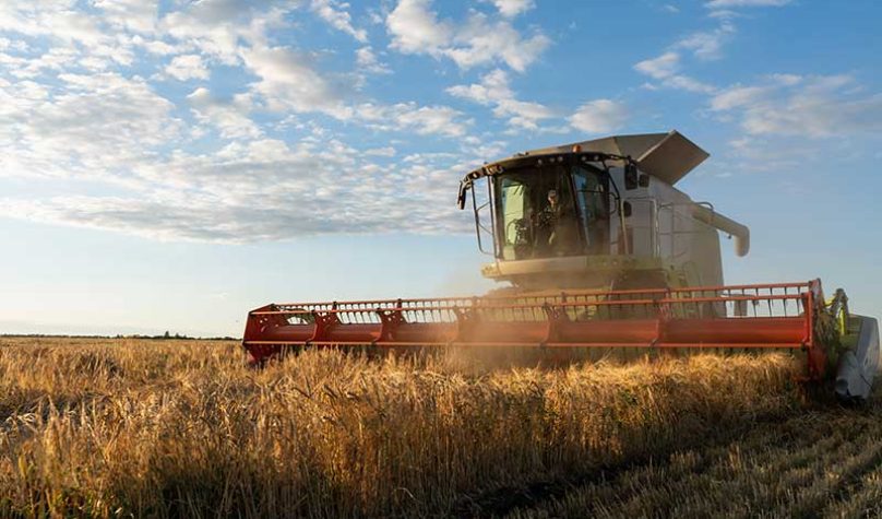 banner-800x533px-expolog