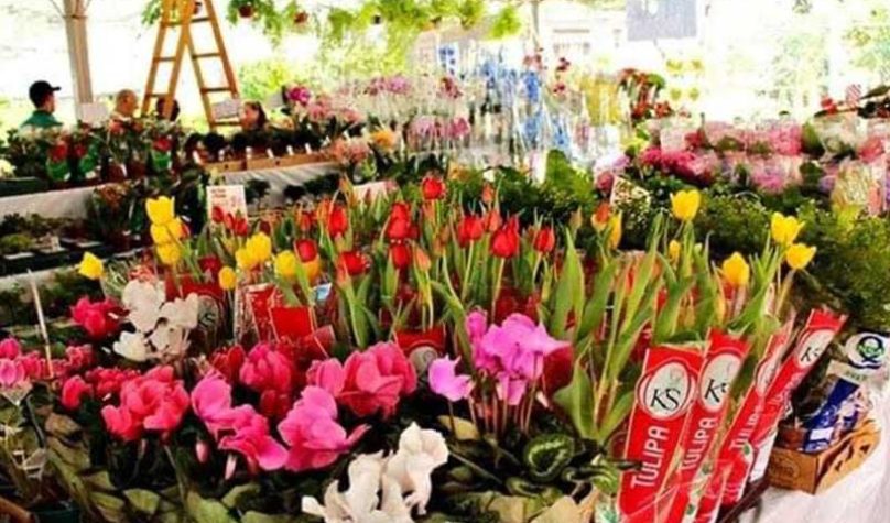 Festival de flores
