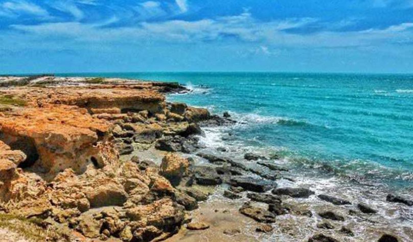 banner-800x533px-fortim