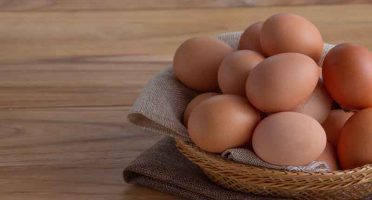 banner-800x533px-gastronomia