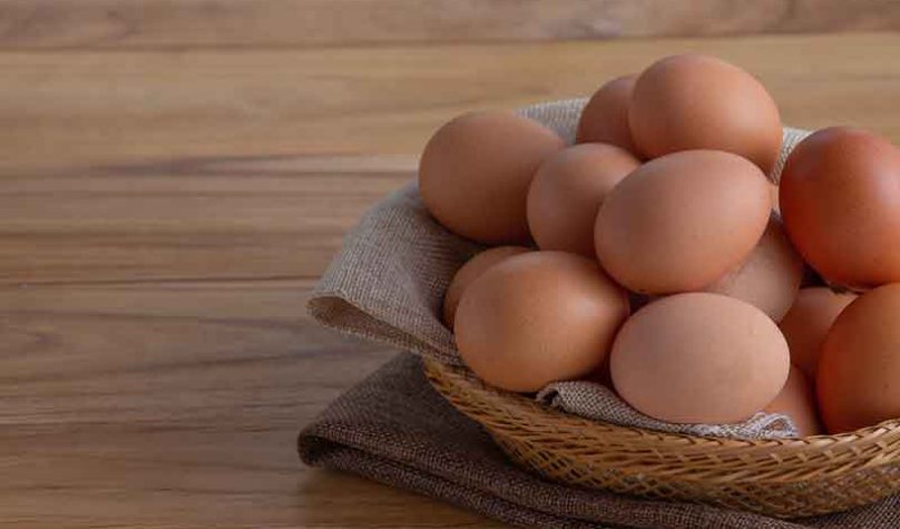 banner-800x533px-gastronomia