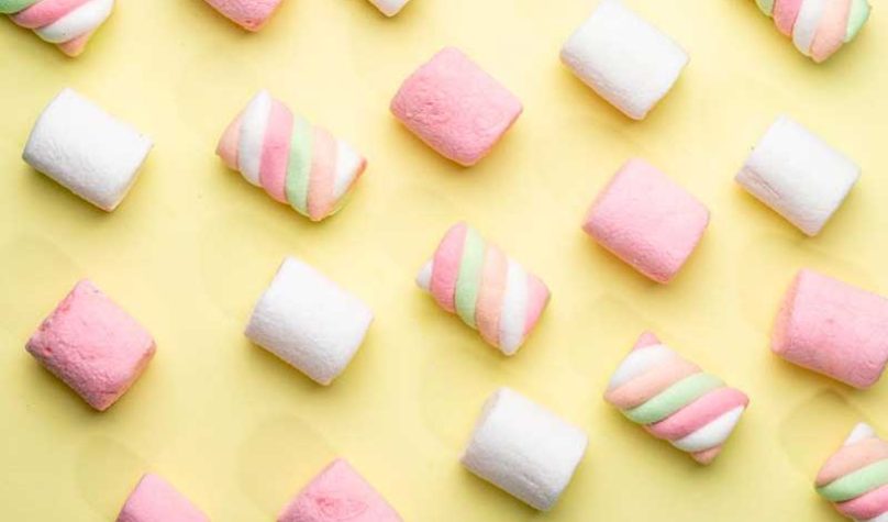 banner-800x533px-gastronomia