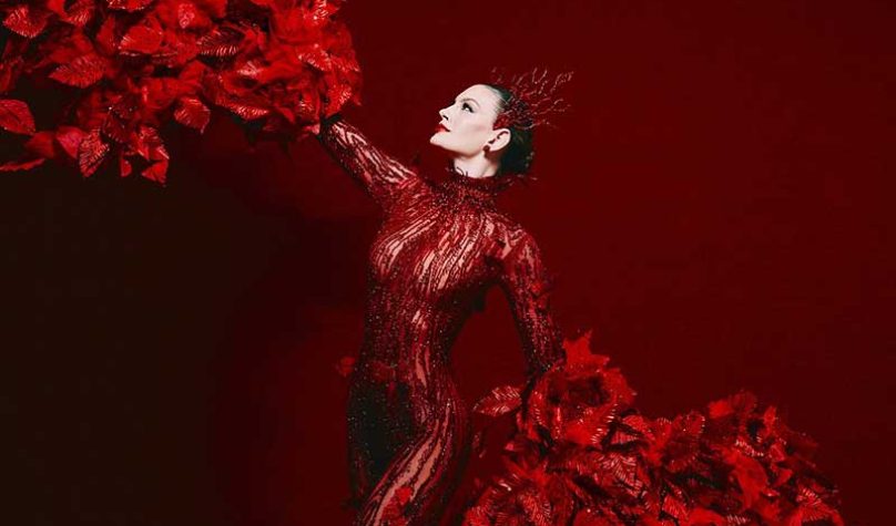 banner-800x533px-miss-universo