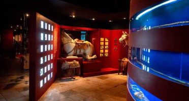 banner-800x533px-museu