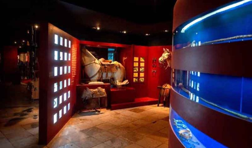 banner-800x533px-museu