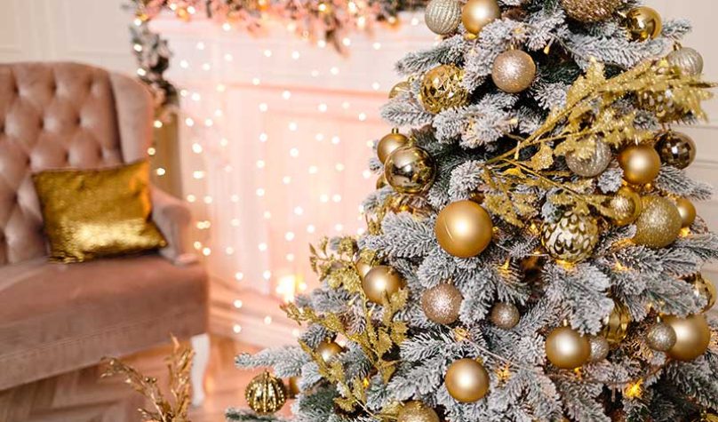 banner-800x533px-natal-2