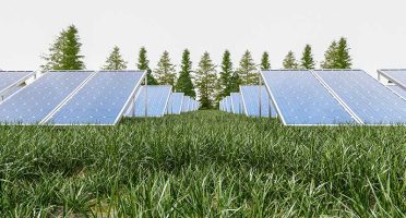 banner-800x533px-parque-solar