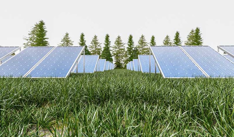 banner-800x533px-parque-solar