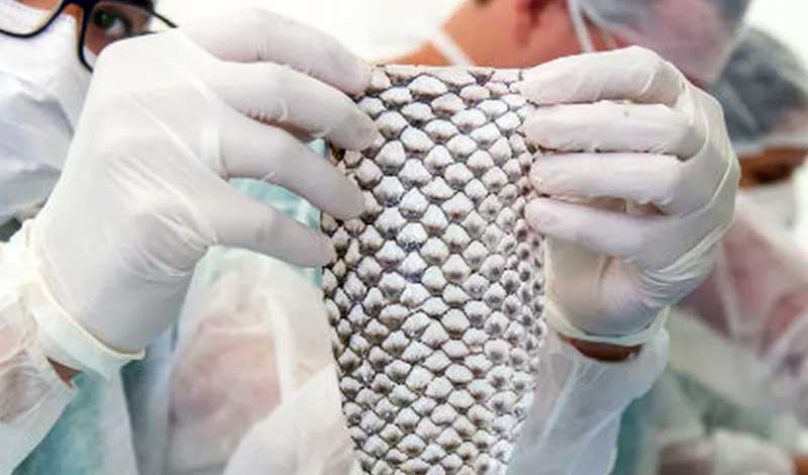 Foto: Viktor Braga/UFC